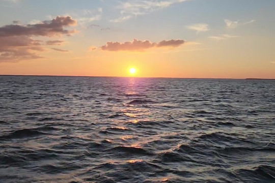 Sight Sea-R Cruises-迈尔斯堡海滩必去景点