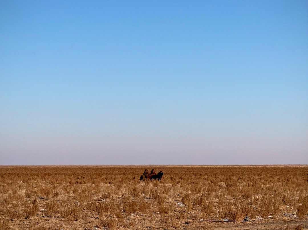 Sunpath Mongolia-乌兰巴托必去景点