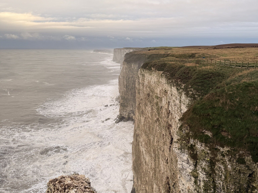 Rspb Bempton Cliffs-Bempton必去景点