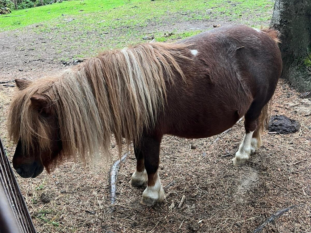 Oasi Delle Piane-Lama Mocogno必去景点
