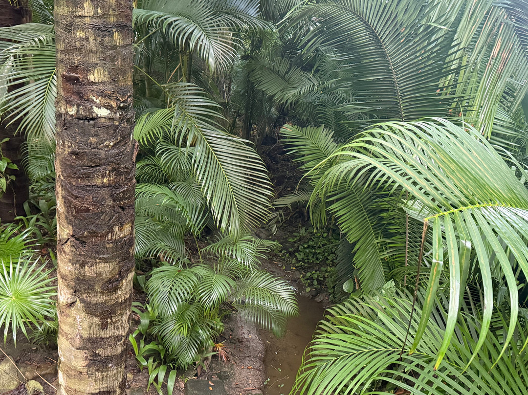 蓬塔米塔酒店住宿-Family Selection at Grand Palladium Vallarta Resort & Spa