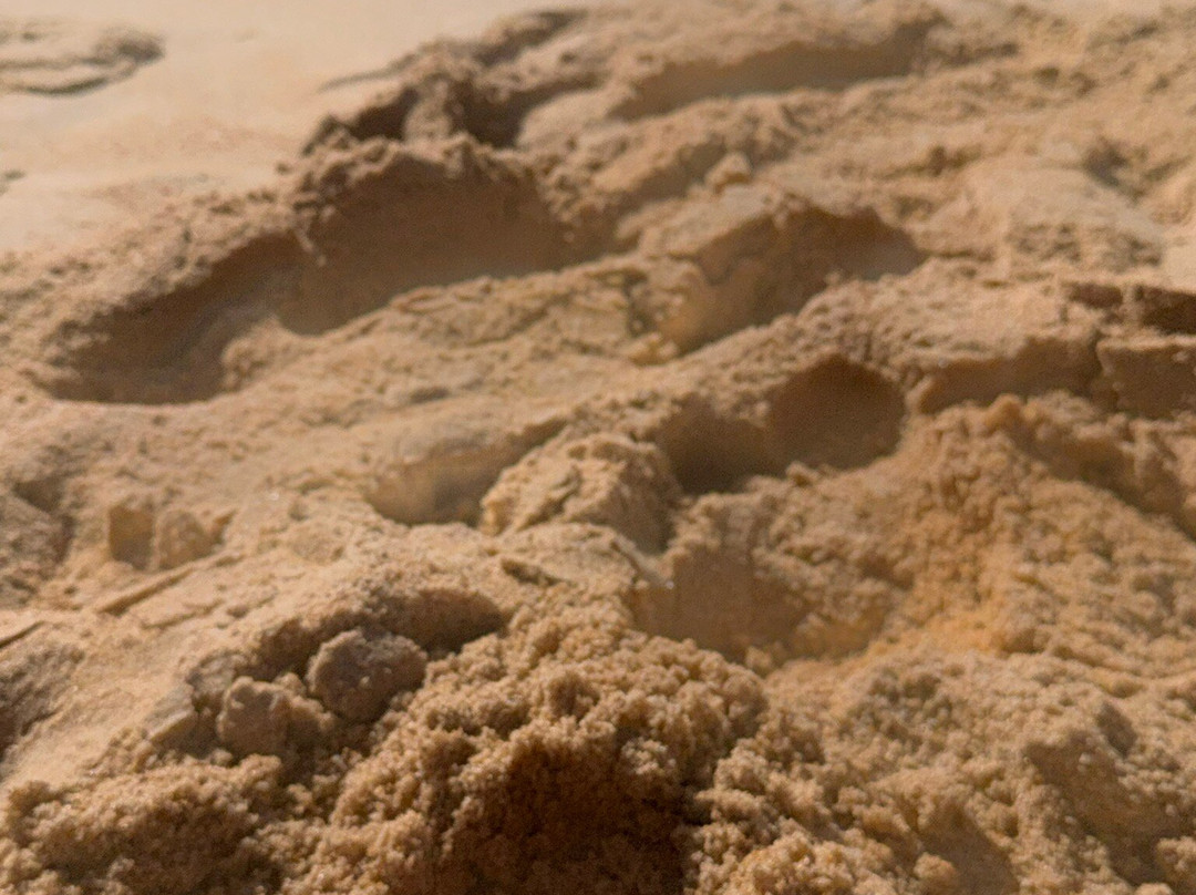 Praia de Vilamoura-维拉摩拉必去景点