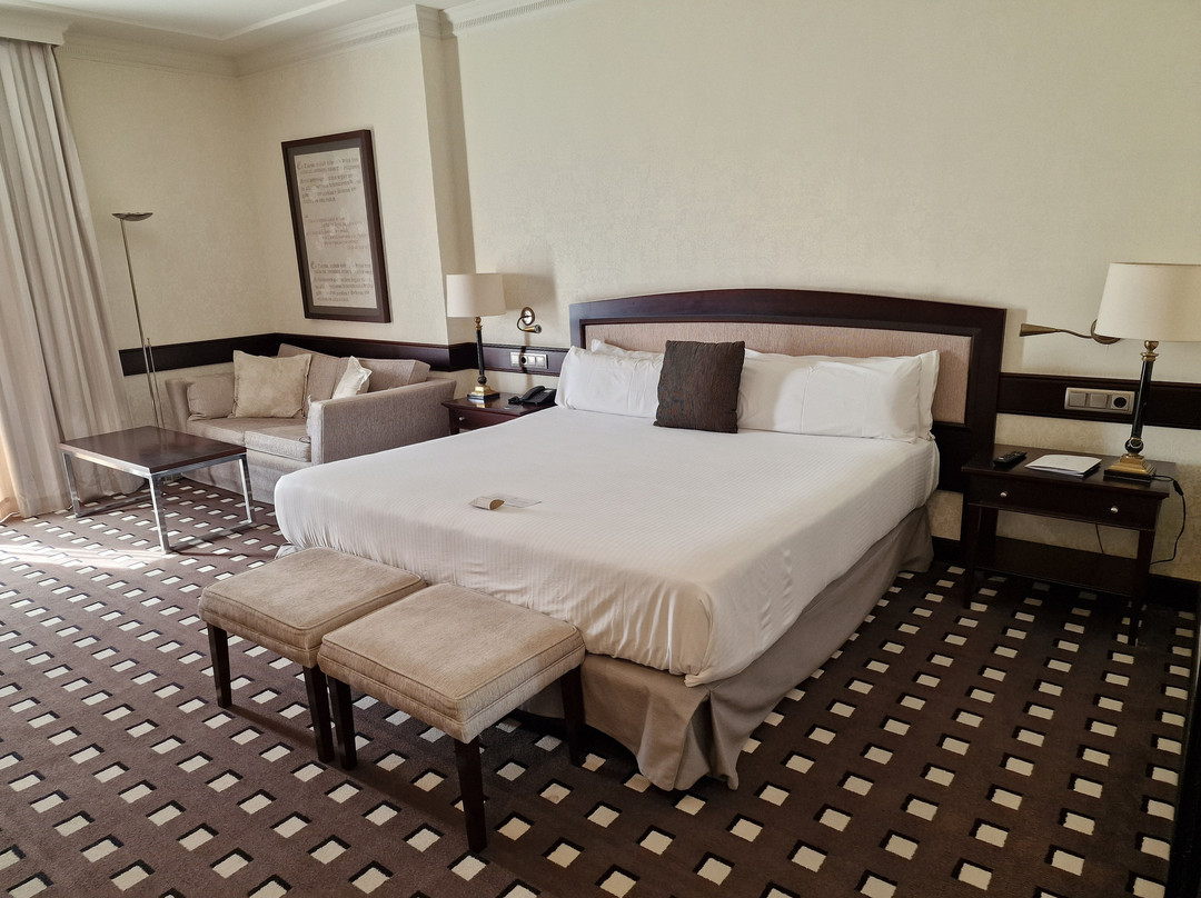 布埃纳维斯塔宫欧洲之星酒店主图