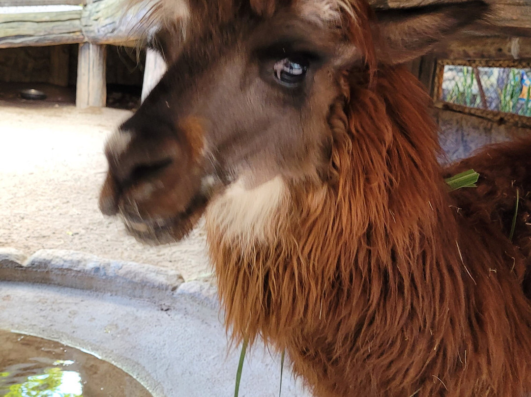 Ecopark Sol e Mar-Maragogi必去景点