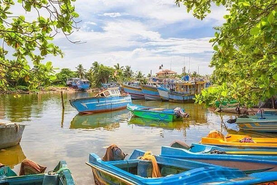 Ceylon Trailblazer Tours-尼甘布必去景点