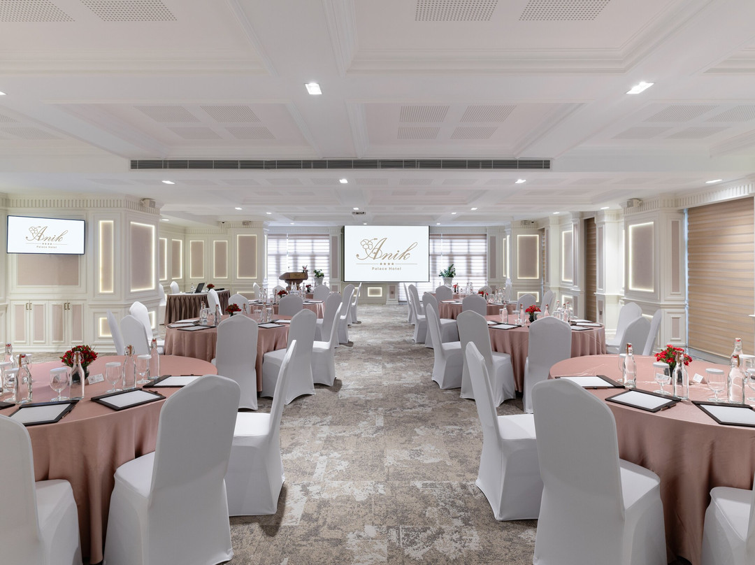 Anik Palace Hotel主图