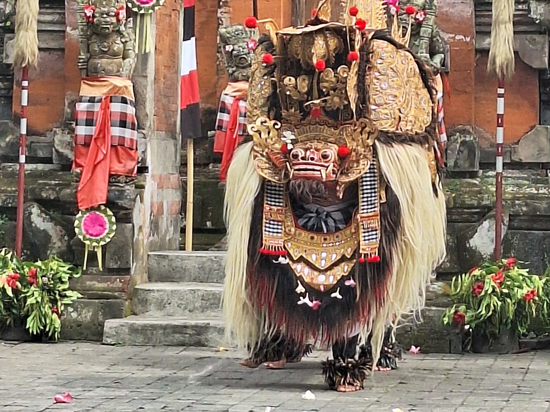 Kirani Bali Tour-罗威那海滩必去景点