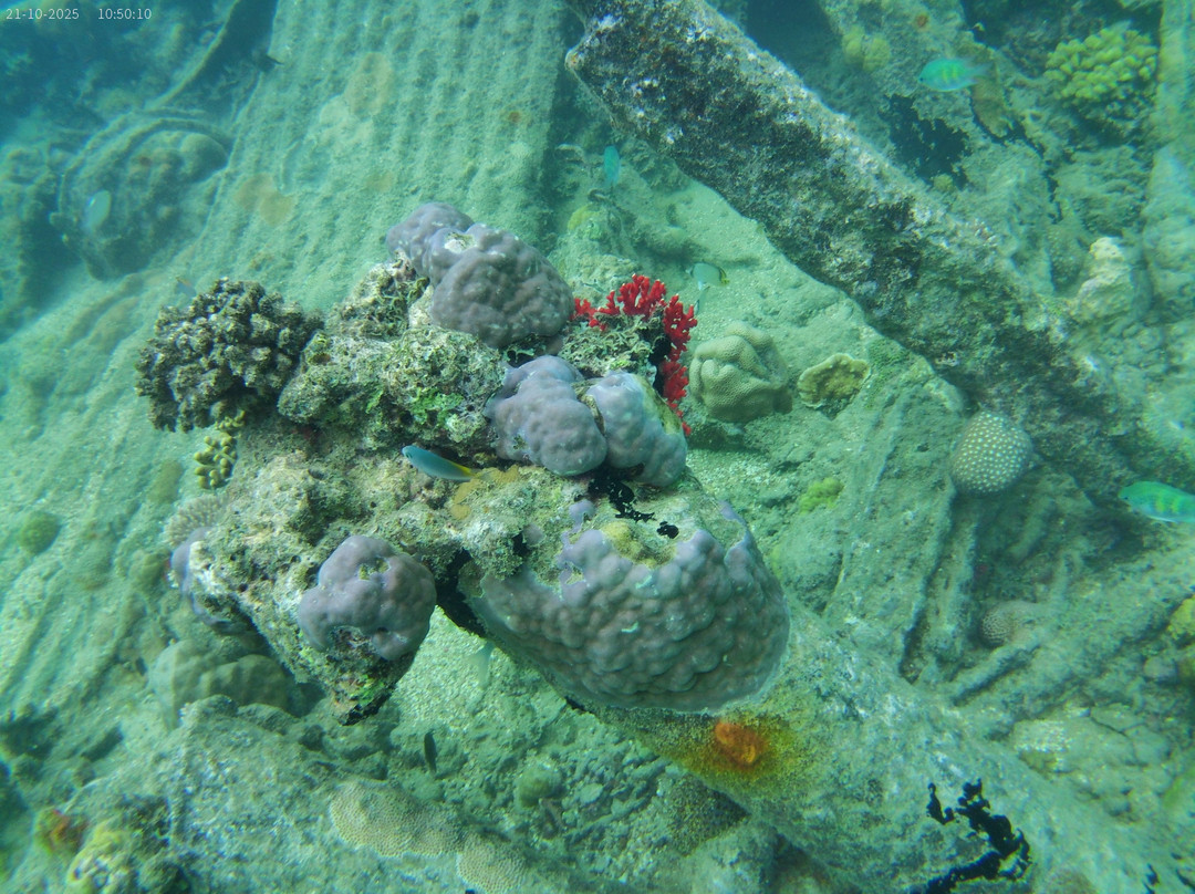 Pacific Dive-卢甘维尔必去景点