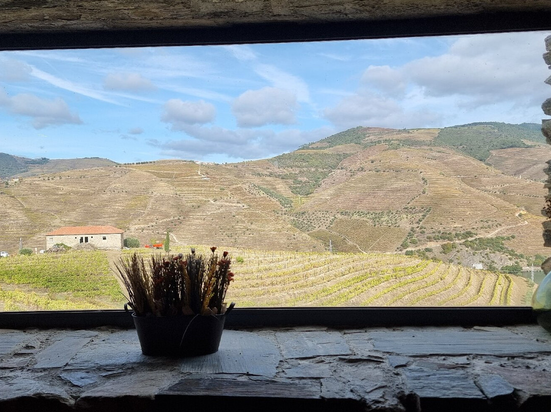 Quinta do Val Moreira-Armamar必去景点
