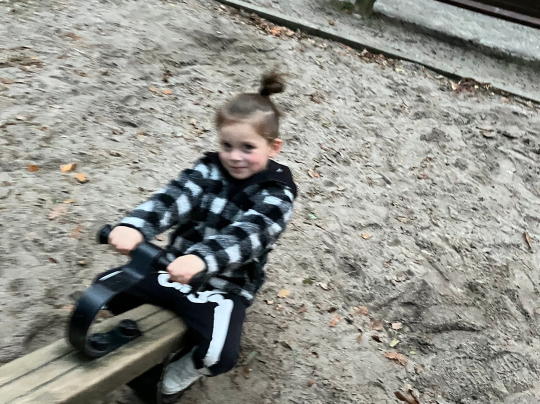 Stadswandelpark-埃因霍温必去景点