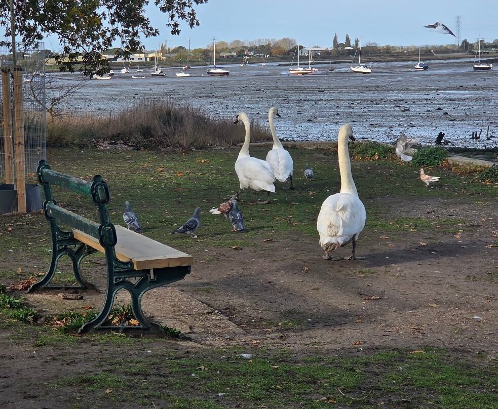 The Mistley Thorn主图