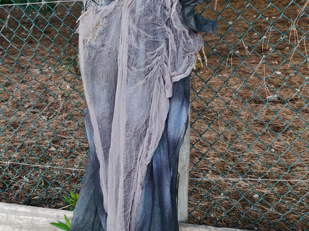 Sendaviva-Arguedas必去景点