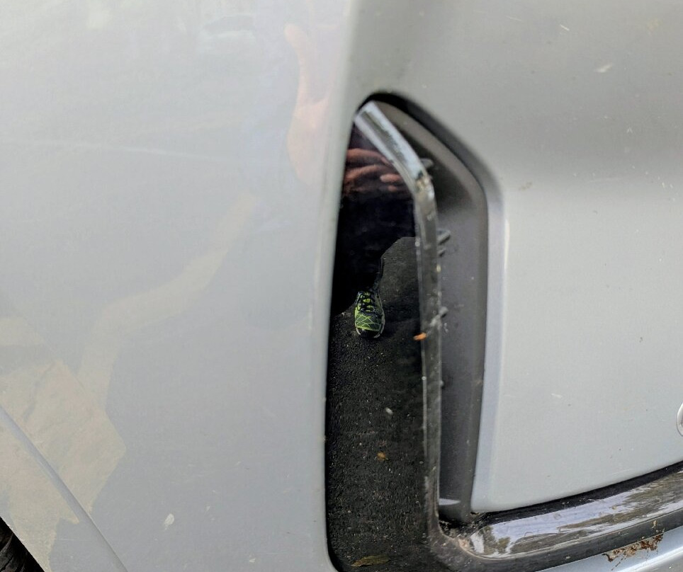 Mercato di Civitavecchia-奇维塔韦基亚必去景点