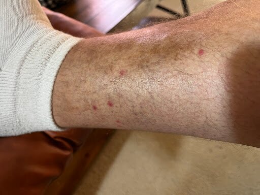 Homewood Suites By Hilton Wilmington/mayfaire, Nc-官方