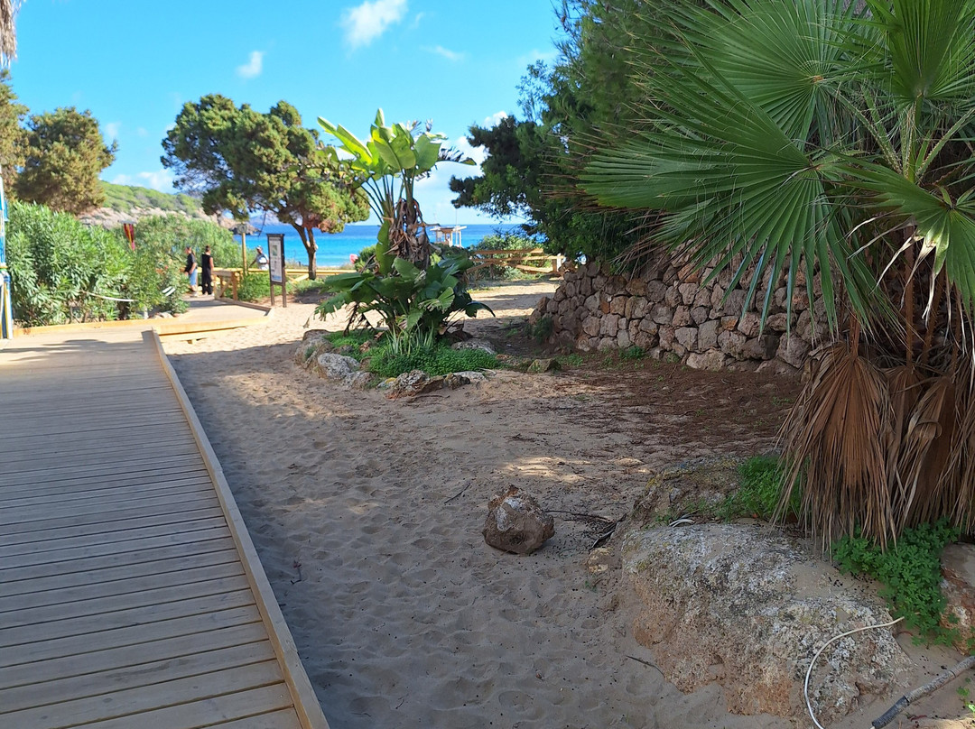 Cala Nova-伊维萨必去景点