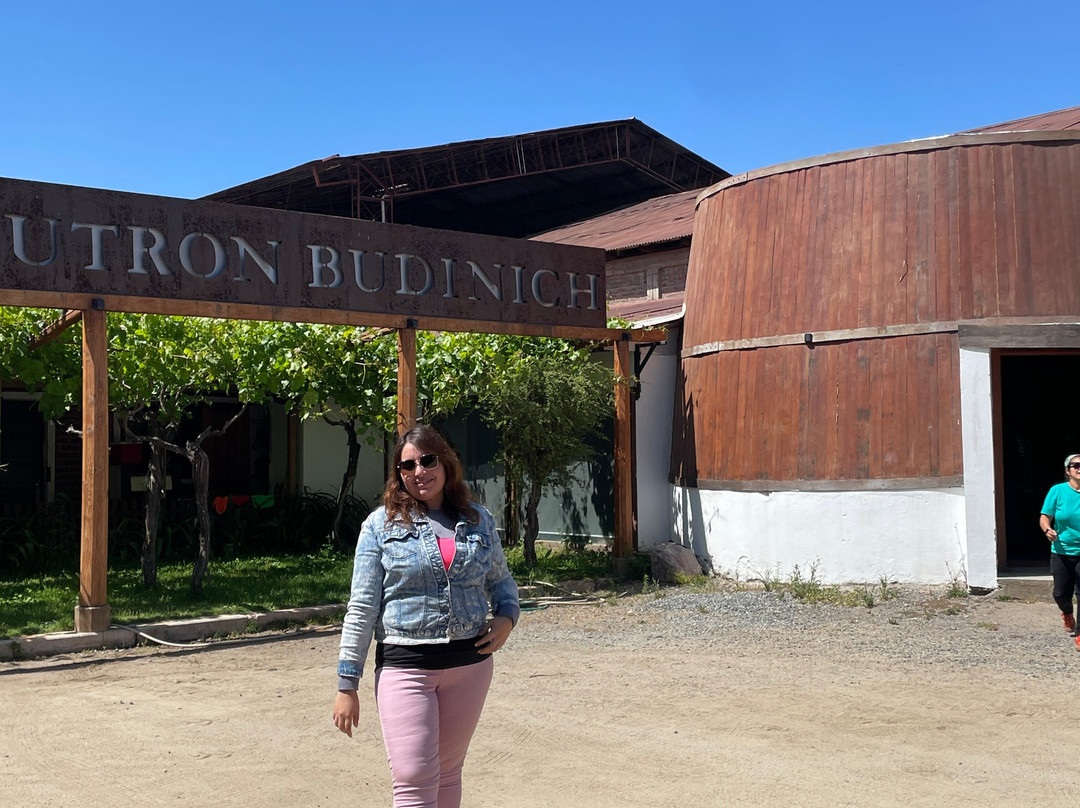 Viña Butron Budinich-兰卡瓜必去景点