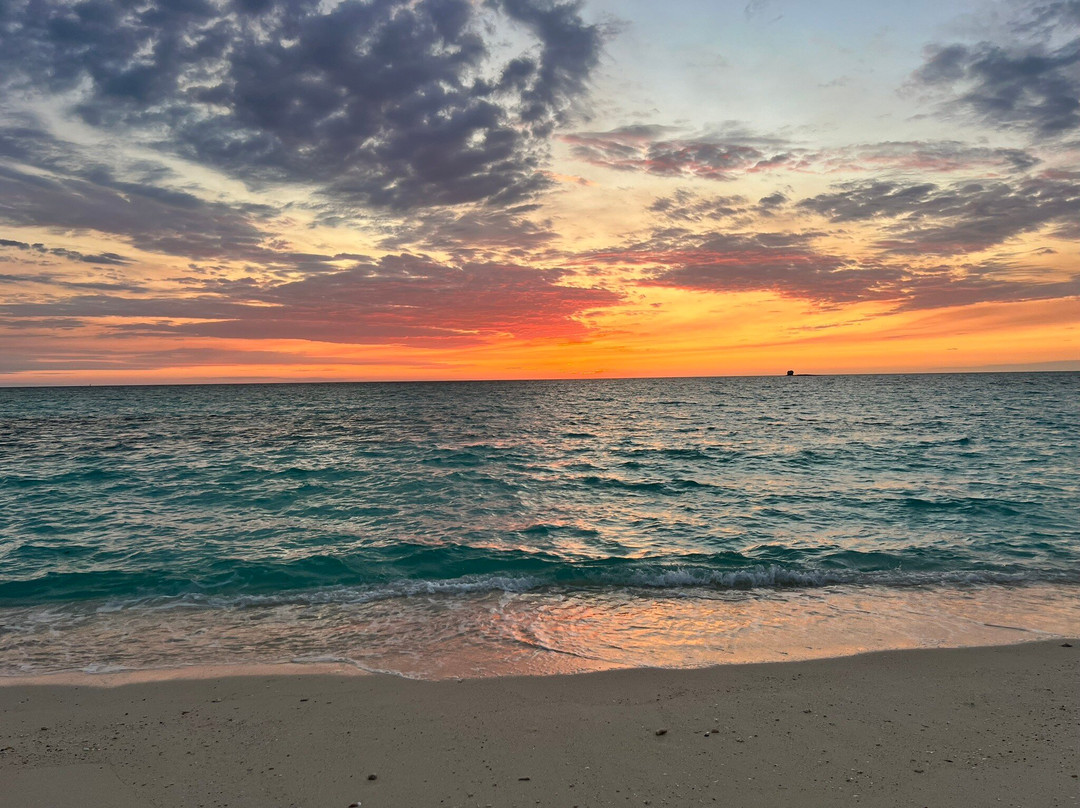 Safari Baleine-Nosy Komba必去景点