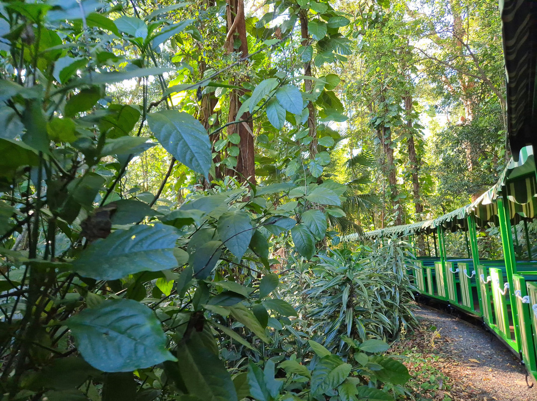 The Big Pineapple-Nambour必去景点
