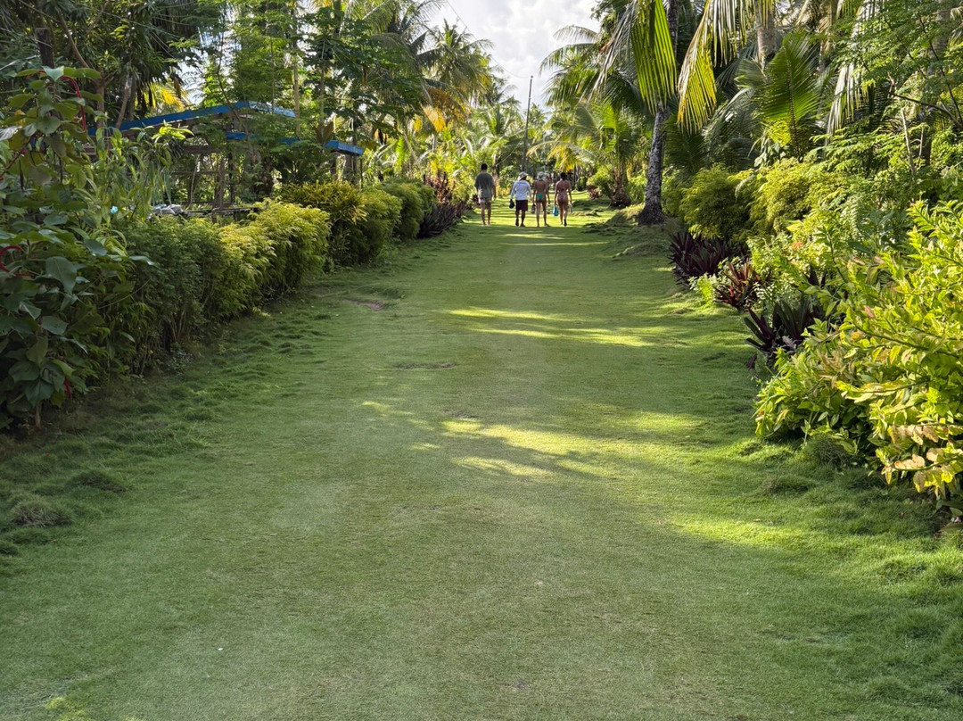 Galatea Tours Siargao-General Luna必去景点