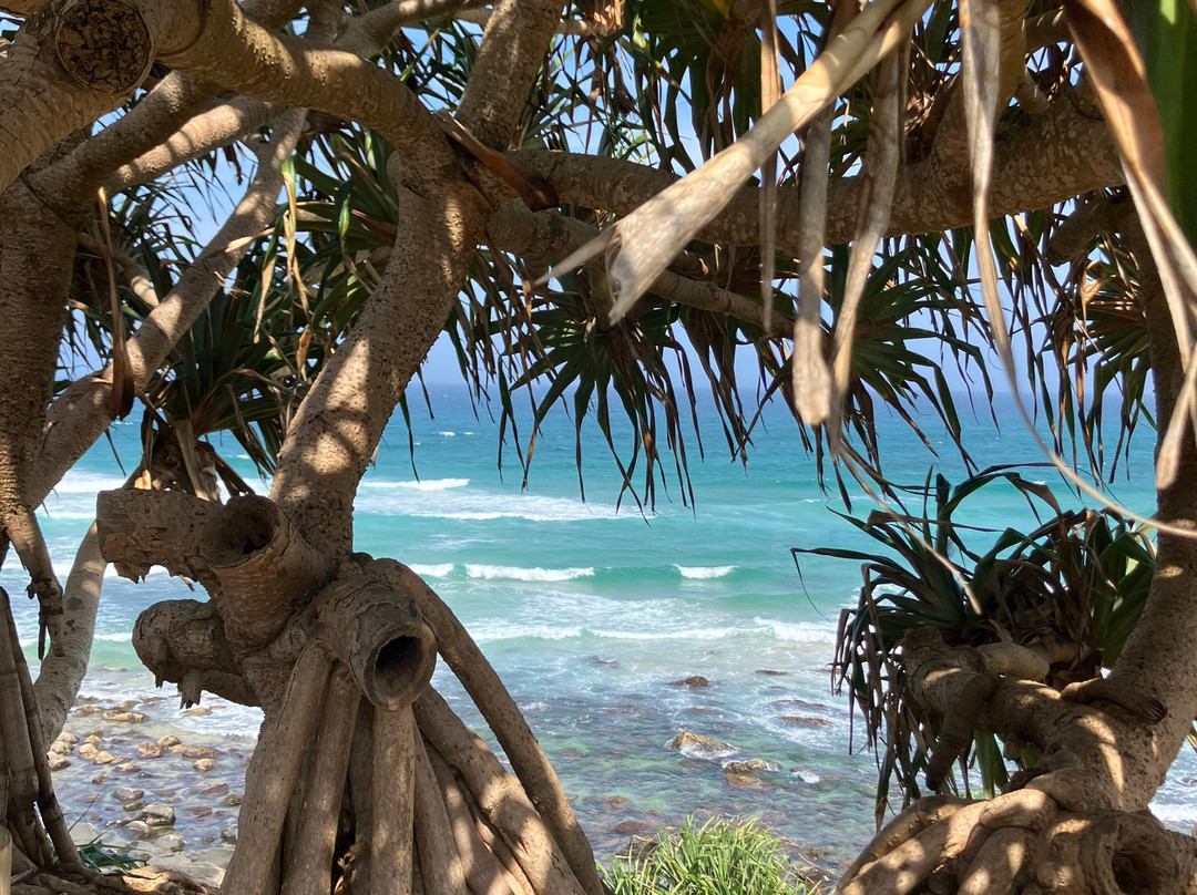 Ballina Manor Boutique Hotel主图