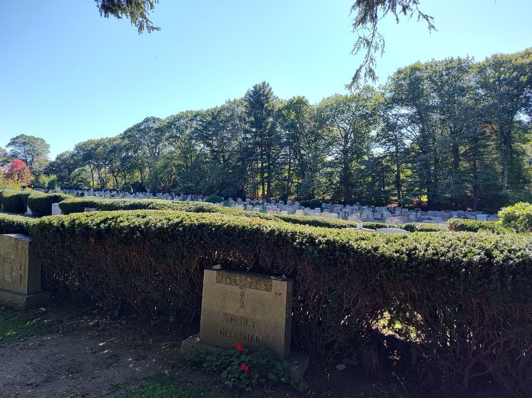 Holyhood Cemetery-布鲁克莱恩必去景点