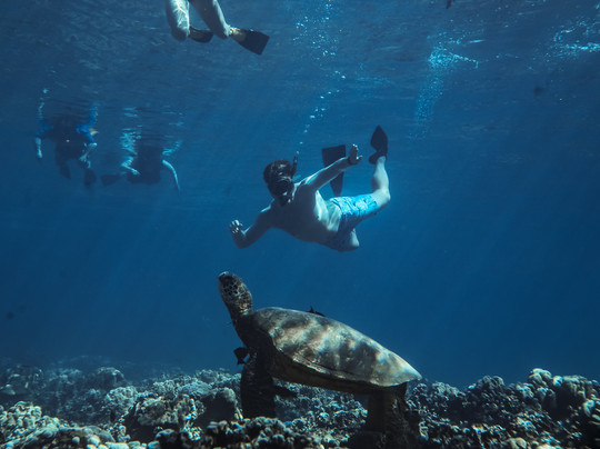 Aqua Adventures-怀露库必去景点