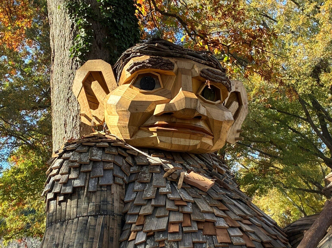 Dorothea Dix Park-罗利必去景点