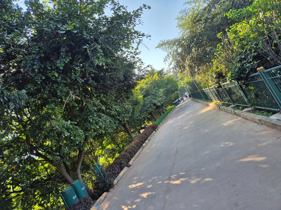 Yelahanka Lake-Yelahanka必去景点