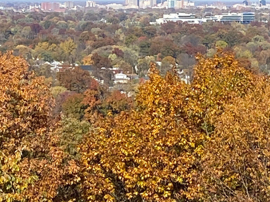 Iroquois Park-路易斯维尔必去景点