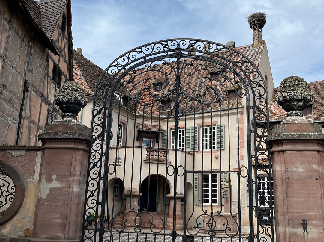 Vieille Ville-塞勒斯塔必去景点