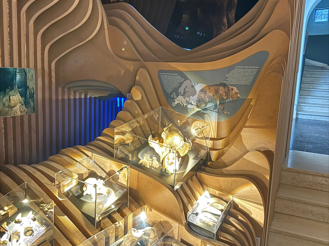 Natural History Museum-里耶卡必去景点