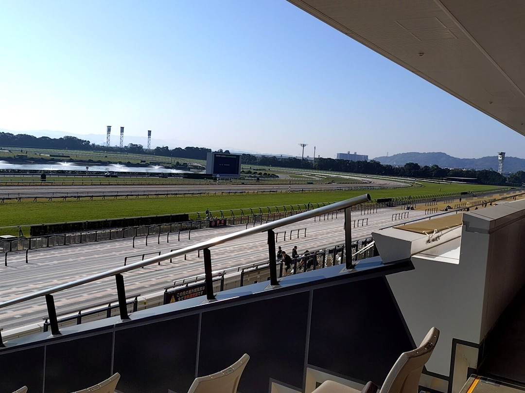 Kyoto Racecourse-京都市必去景点