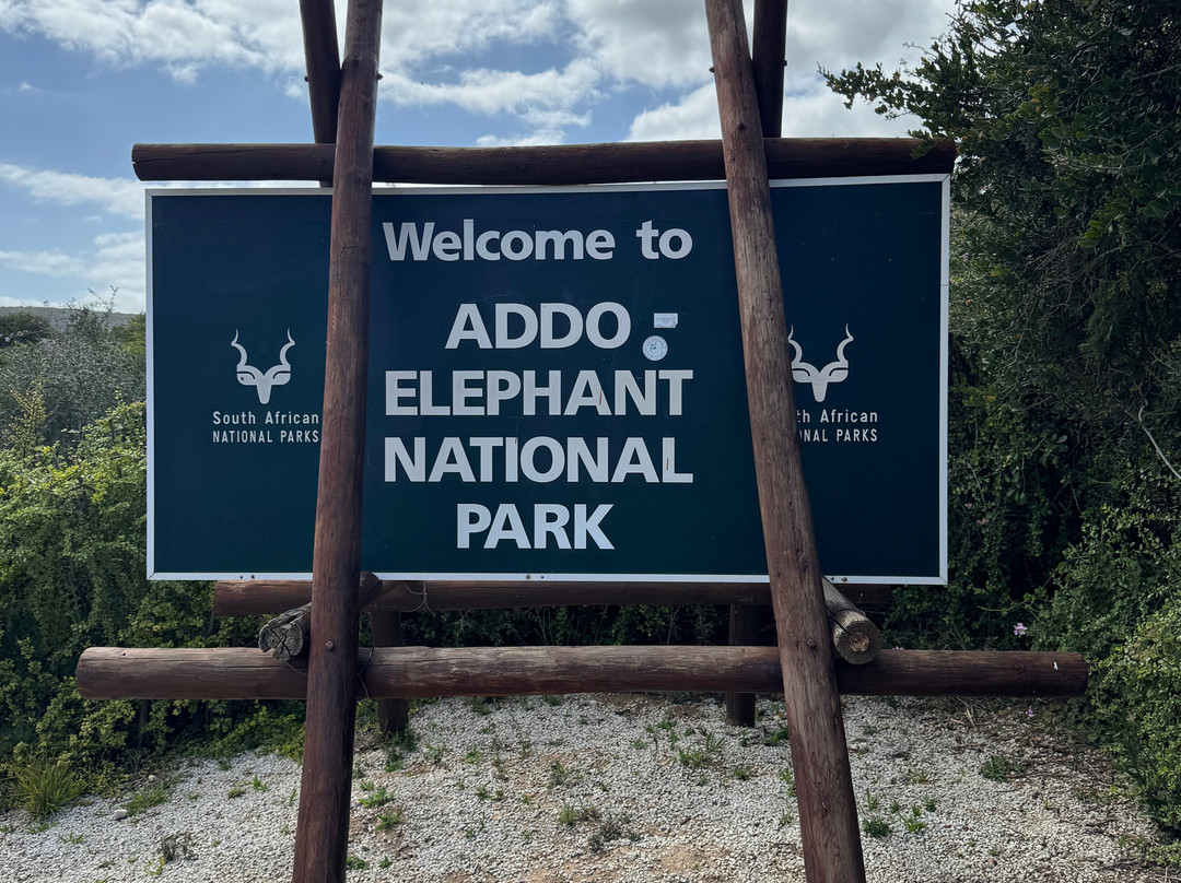 Addo Park Safaris-Colchester必去景点