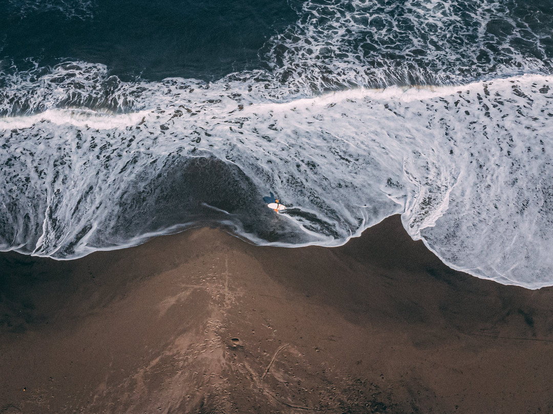 Tanah Lot酒店住宿-Seaside Tribe - Boutique Surf Stay & Retreat