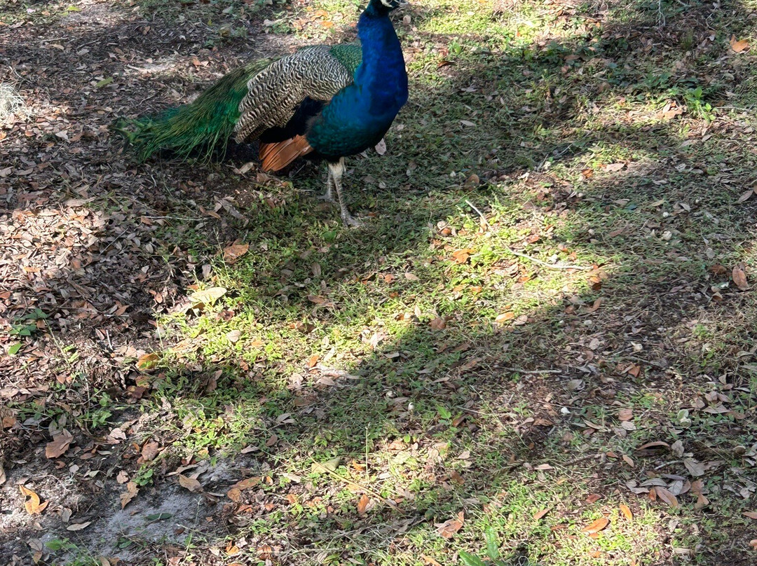 Magnolia Park-Apopka必去景点