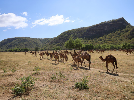 Arabian Travel Service-塞拉莱必去景点