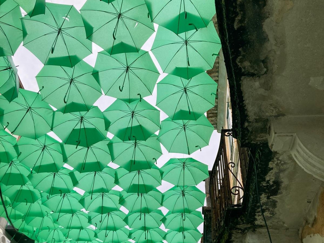 CAA Centro de Artes de Águeda-Agueda必去景点