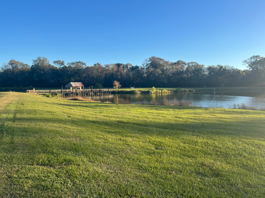 Maison D'Memoire Bed & Breakfast Cottages主图