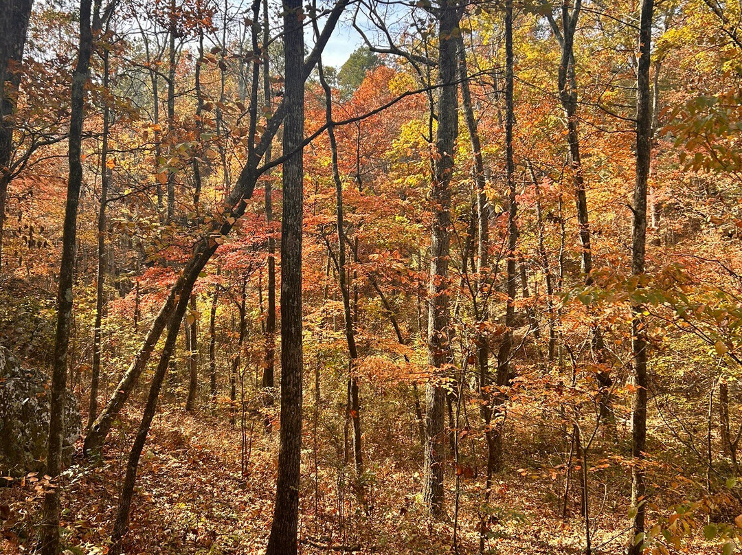 Seven Hollows Trail-Morrilton必去景点