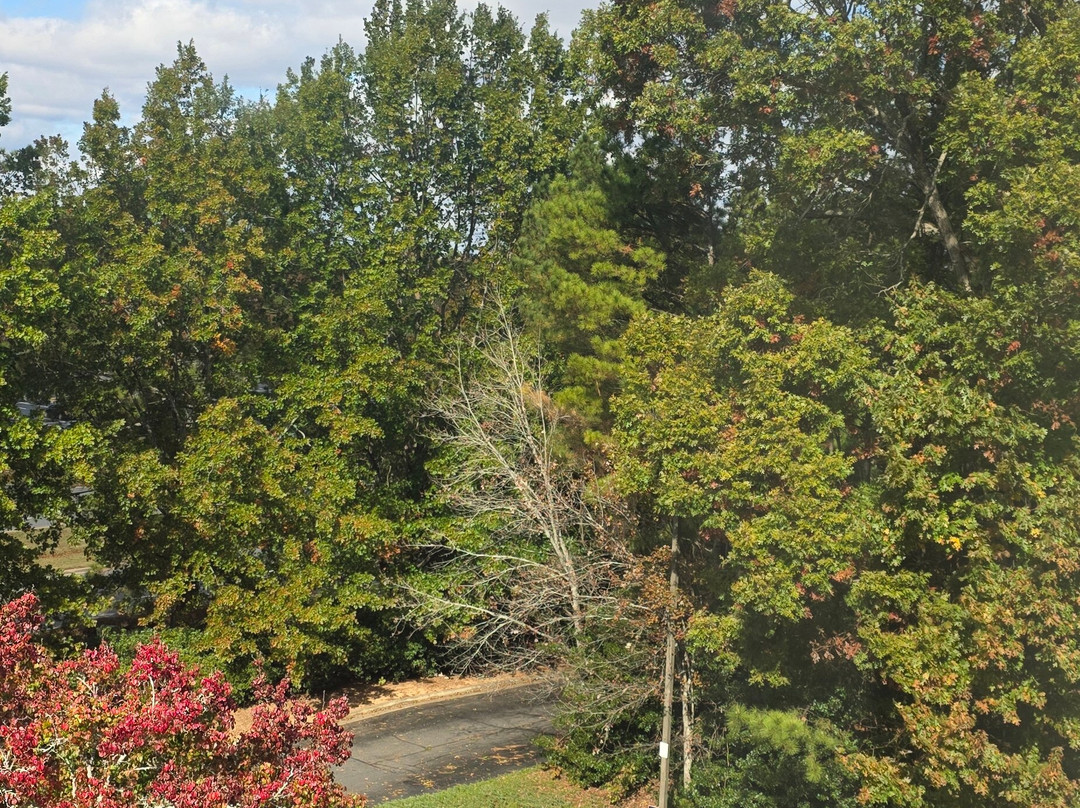 诺克罗斯凯悦居所主图