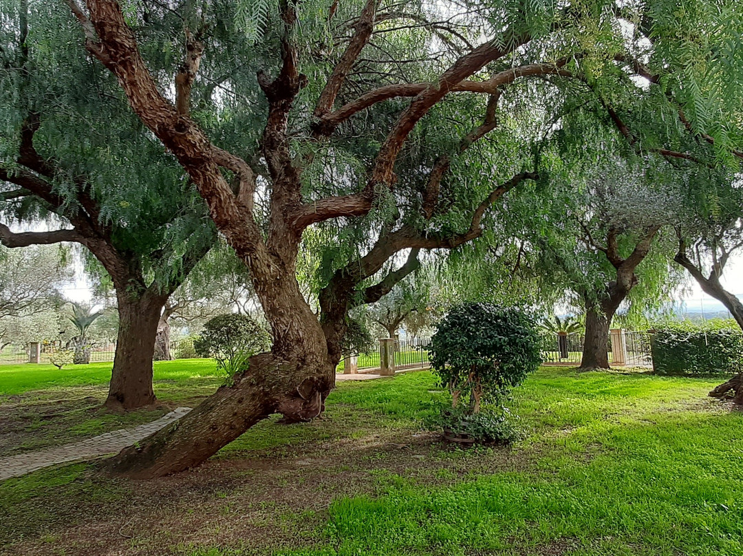 Statti-拉梅齐亚泰尔梅必去景点
