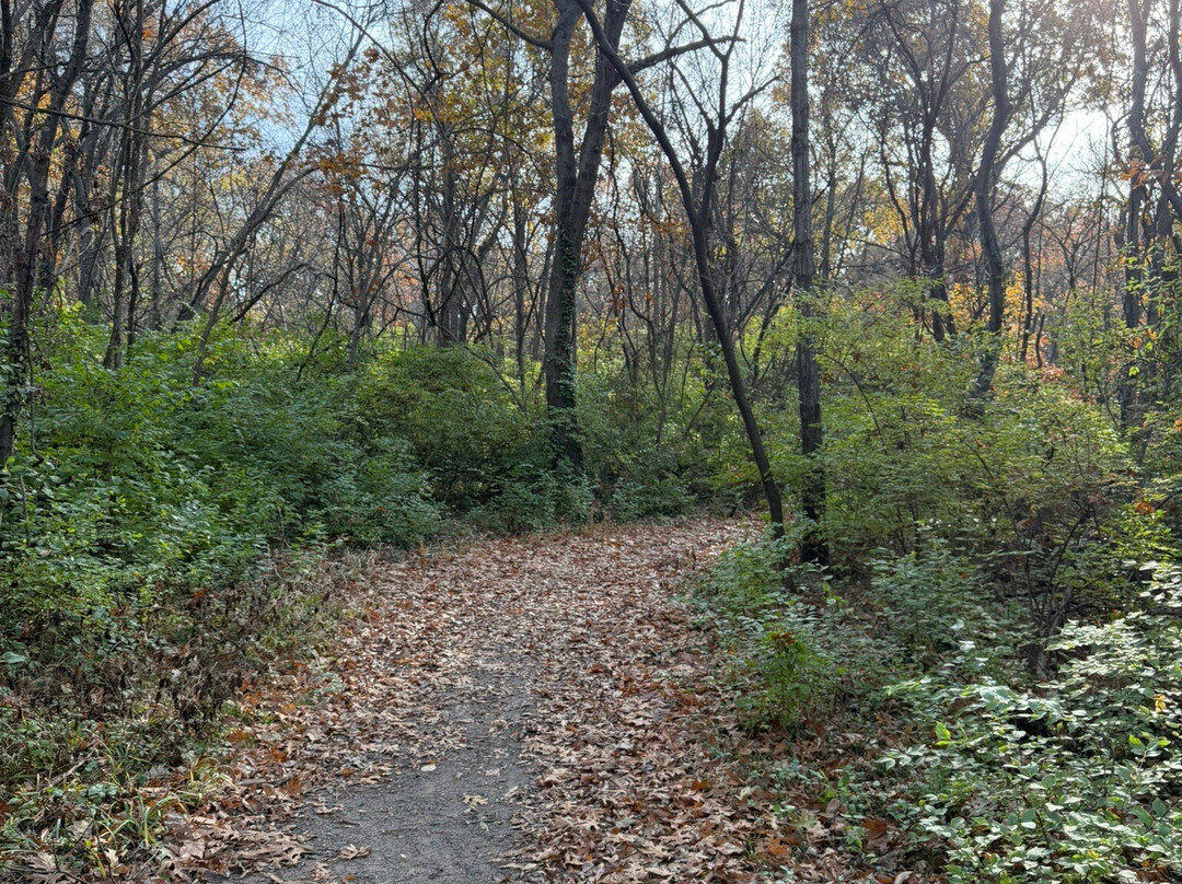 Wilderness Park-Pittsburg必去景点