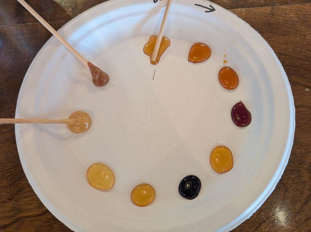 Silver Hand Meadery-威廉斯堡必去景点