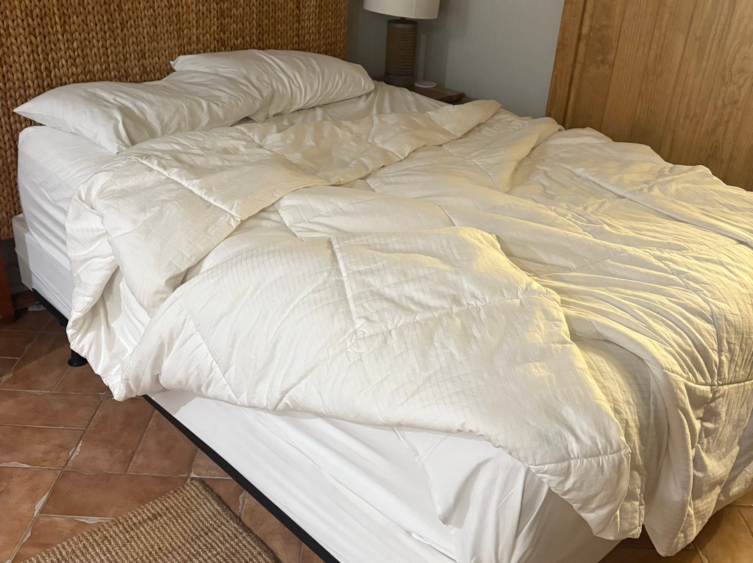 Fripp Island Resort主图