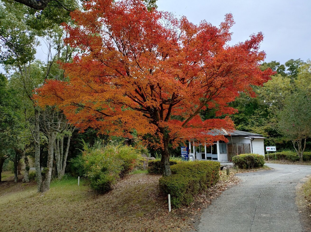 Tojo no mori Country Club Tojo Course Okura Course-加东市必去景点