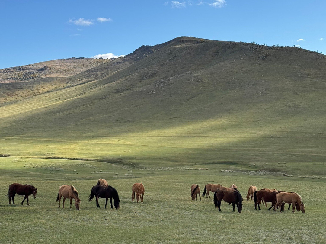 Discover Mongolia Travel-乌兰巴托必去景点