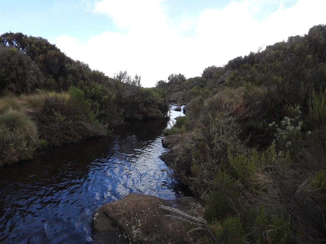 Tranquil Kilimanjaro-Machame必去景点