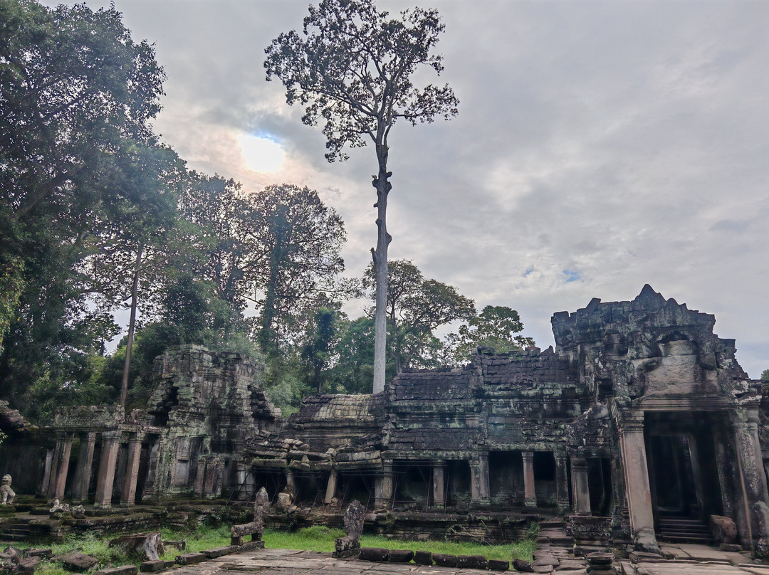 Mr. Wang Tuk Tuk Driver-暹粒必去景点