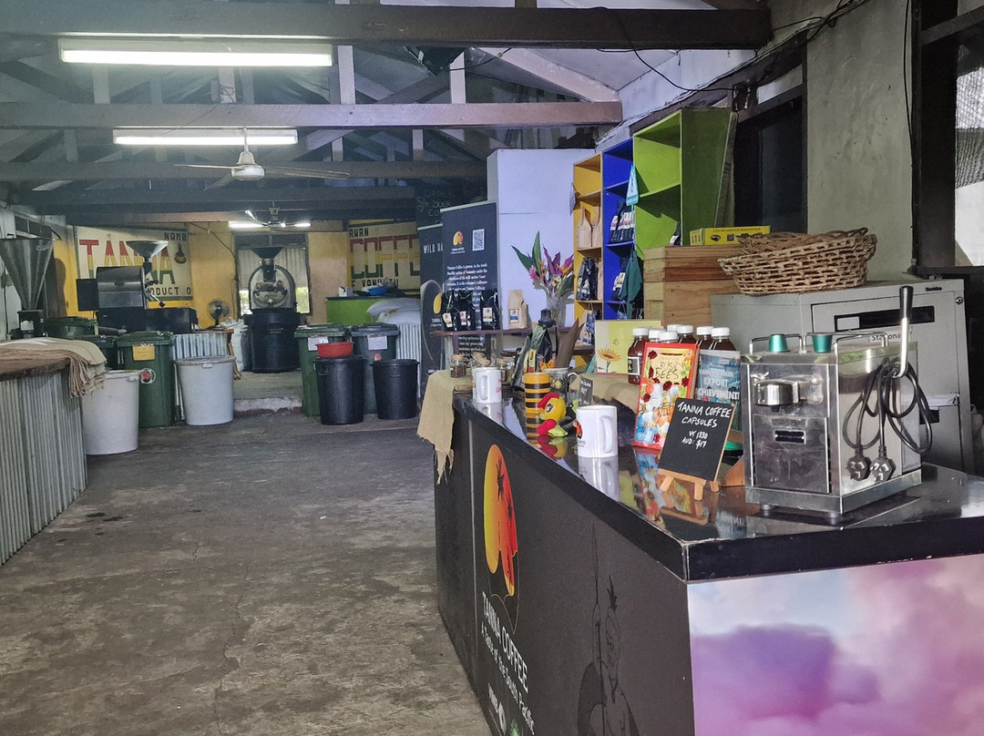 Tanna Coffee-维拉港必去景点