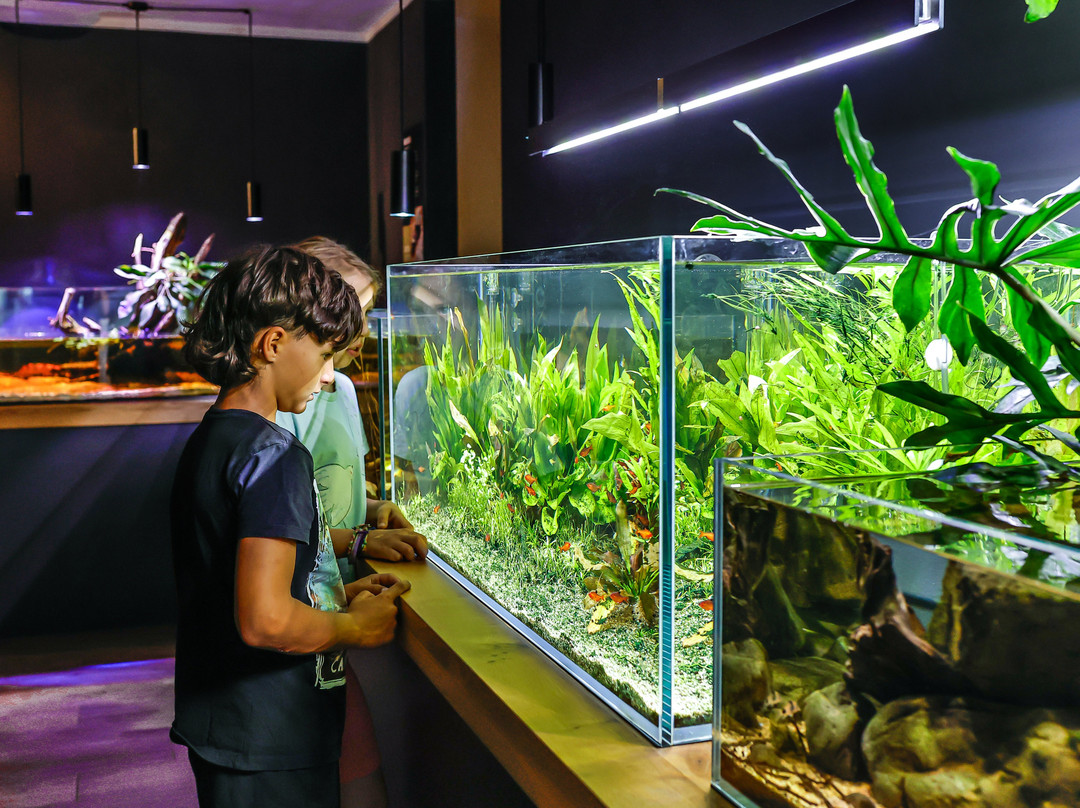 Neotropica, Postojna, Slovenia-波斯托伊纳必去景点